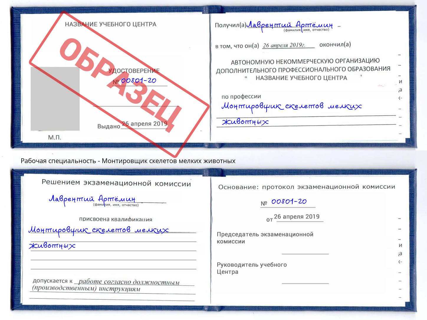 Монтировщик скелетов мелких животных Саратов