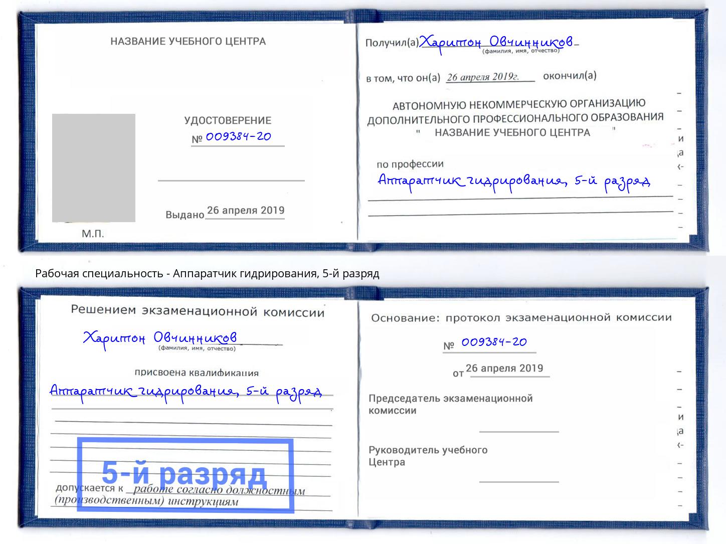 корочка 5-й разряд Аппаратчик гидрирования Саратов