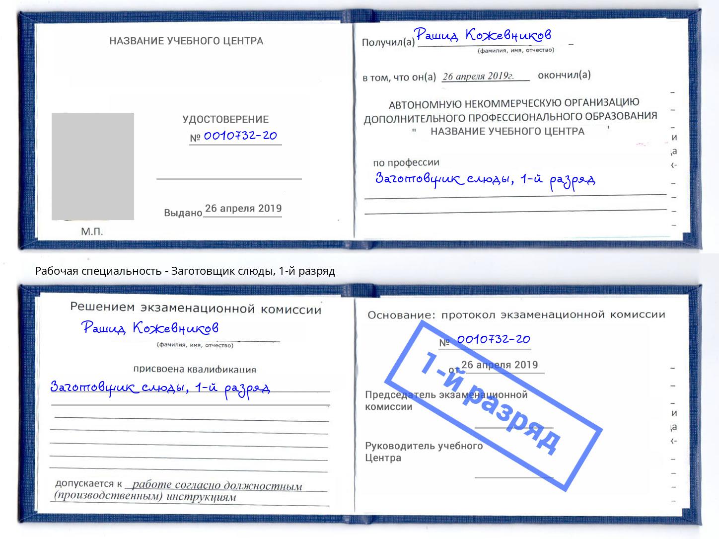корочка 1-й разряд Заготовщик слюды Саратов